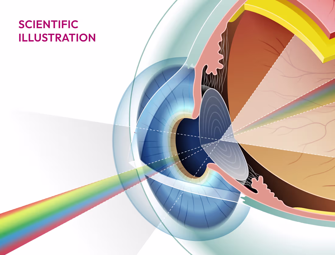 Cover image for Scientific infographics & illustrations