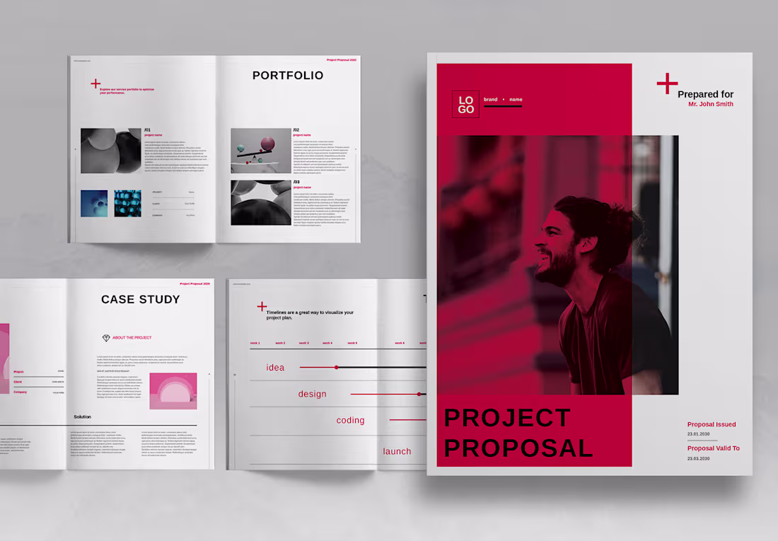 Cover image for Red Project Proposal Brochure