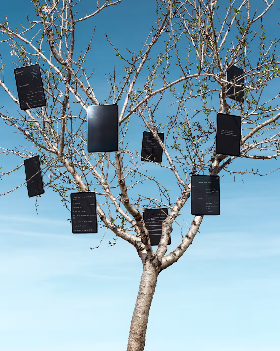 Cover image for Explore Anonymous Conversations: Infinite Canvas Platform