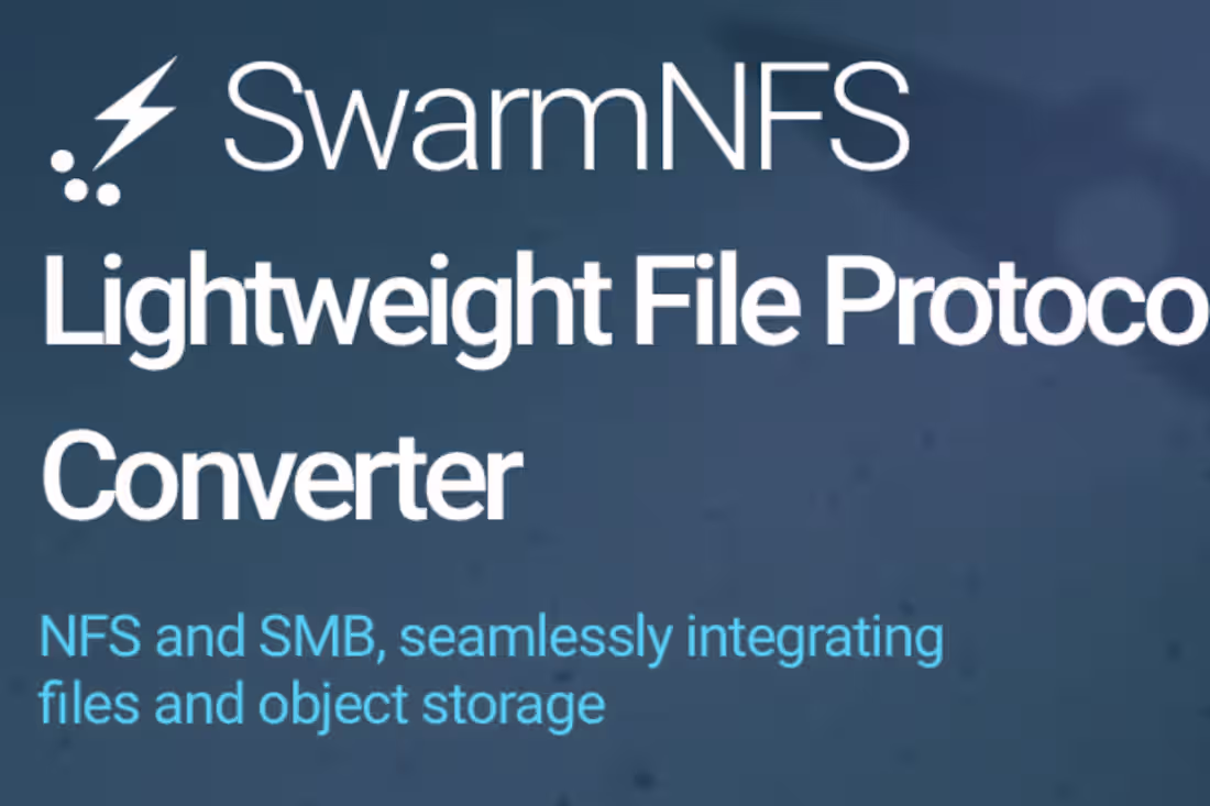 Cover image for SwarmNFS