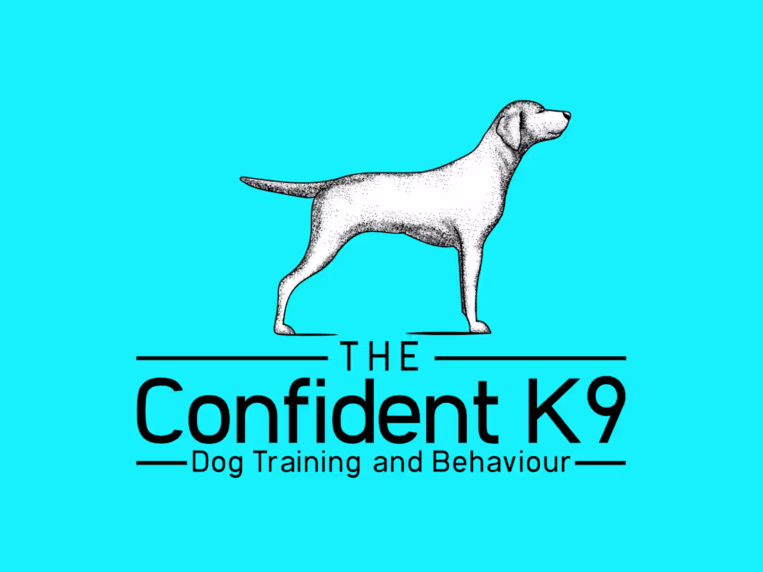 Cover image for Graphic Designer