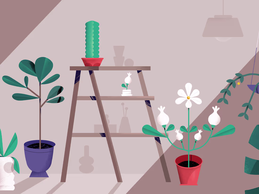 Cover image for Seed & Stem