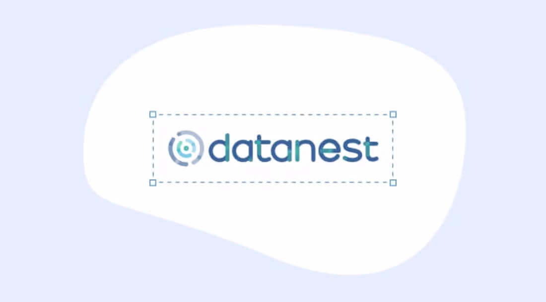 Cover image for Datanest Case Study | What IF Web