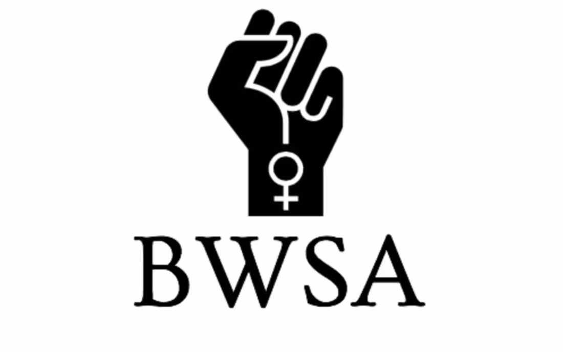 Cover image for Black Women’s Studies Association