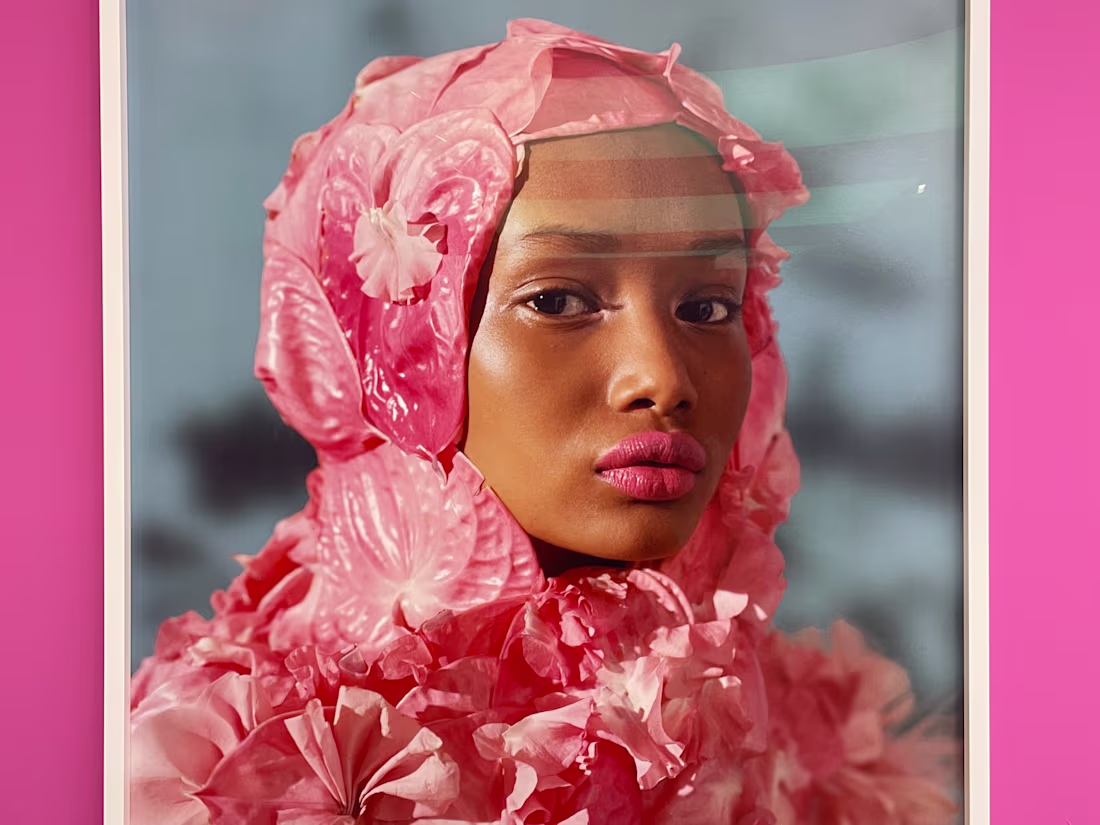 Cover image for The New Black Vanguard