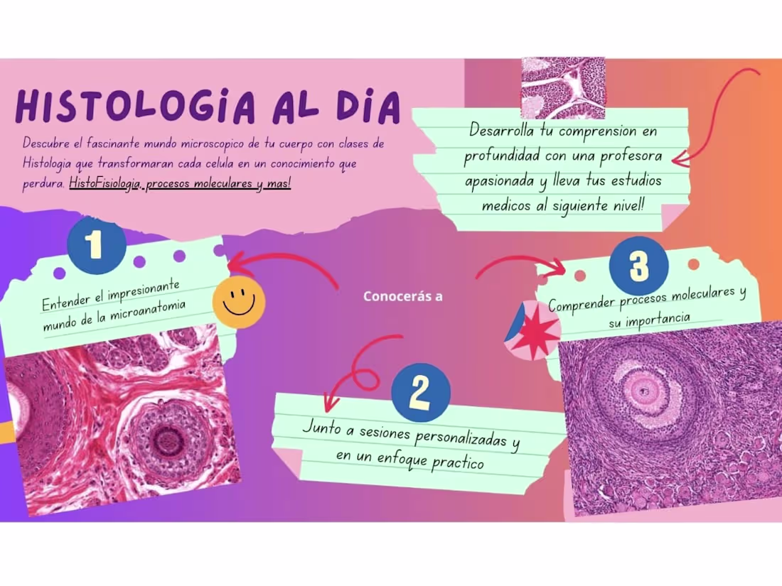 Cover image for Tutoría en Histología y Correlación Fisiológica Aplicada