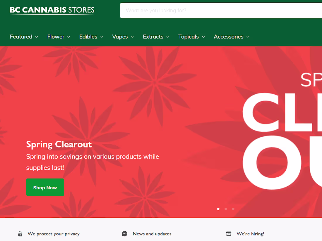 Cover image for Website Designing & Digital Marketing