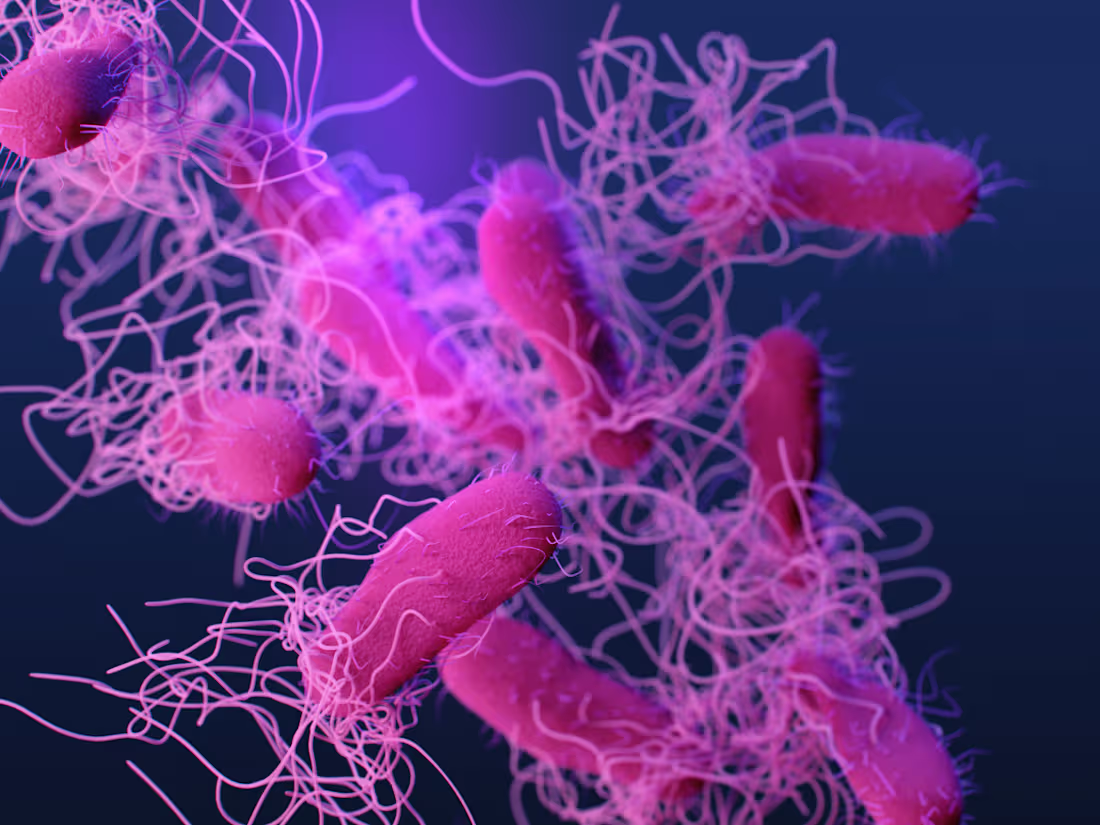 Cover image for Branding Examples - Giddel & uvFreshr for Hygiene and Health 