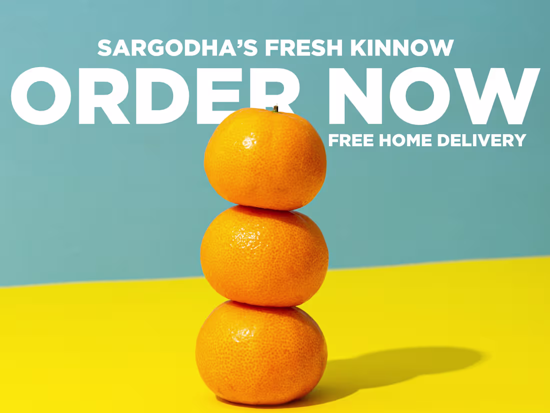 Cover image for DVC For Online Store