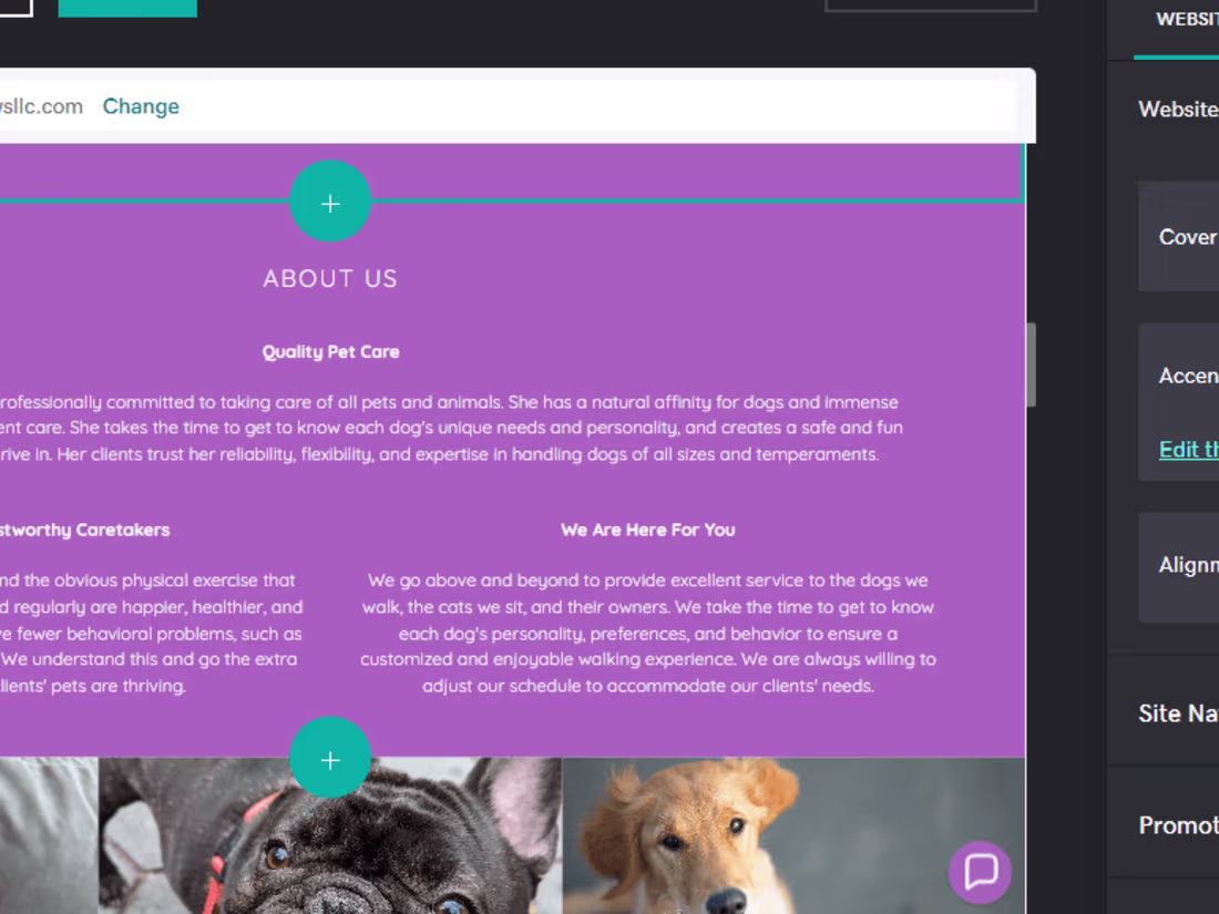 Cover image for Pawsnpaws llc Business management 