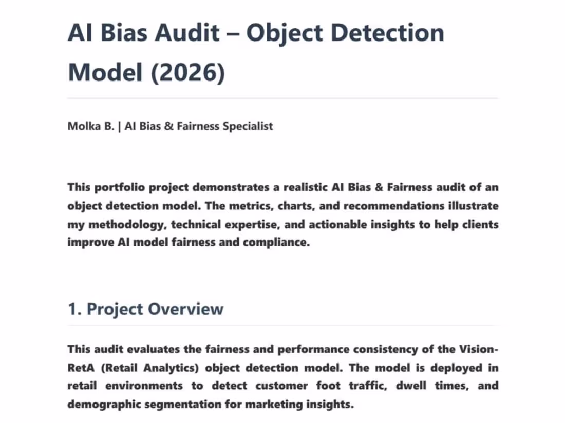Cover image for AI Bias Audit - Object
