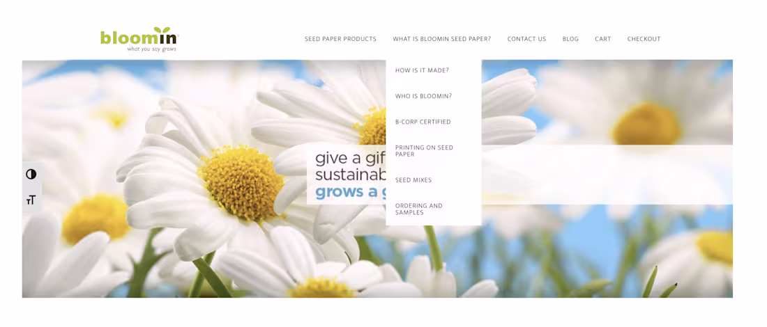 Cover image for Bloomin