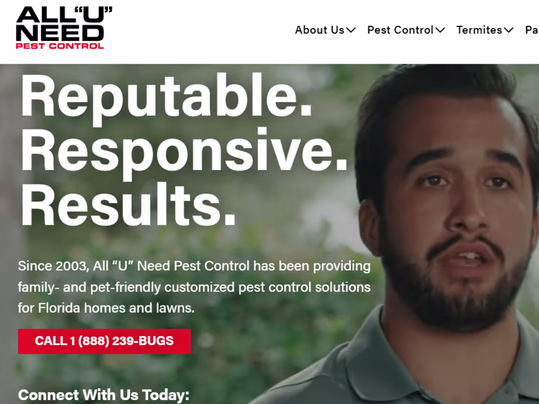 Cover image for ALL U NEED 