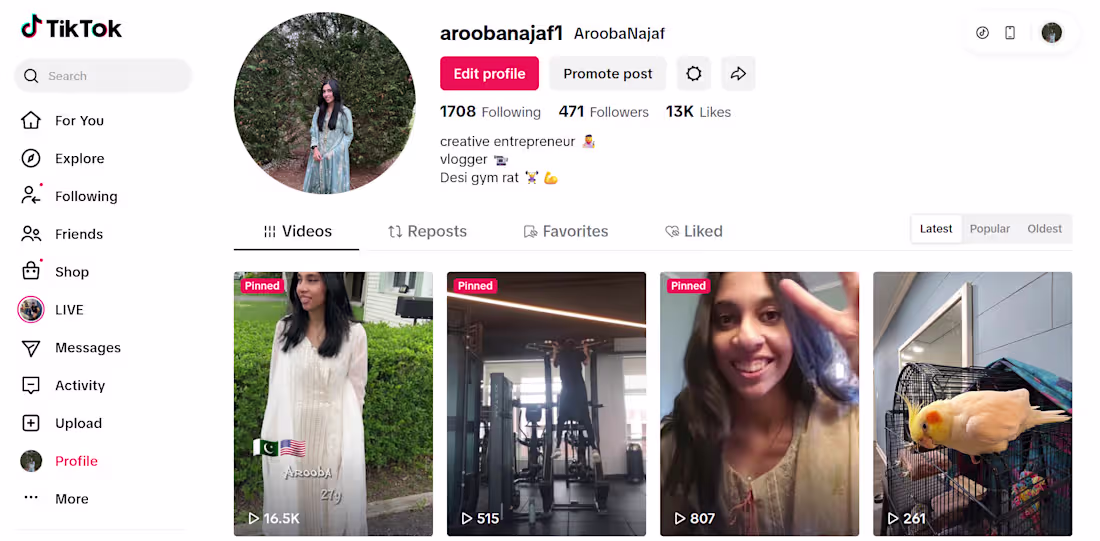 Cover image for TikTok Specialist / @aroobanajaf1