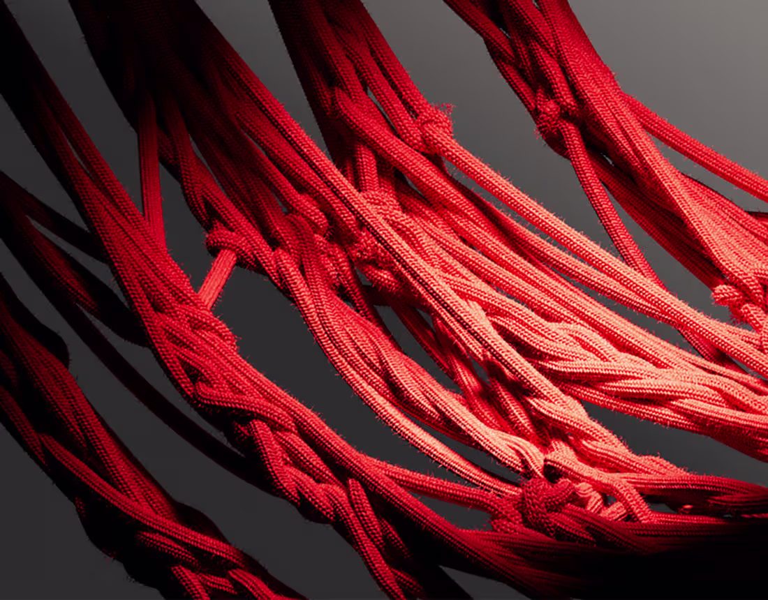 Cover image for Personal Brand - Identity & Motion on Behance