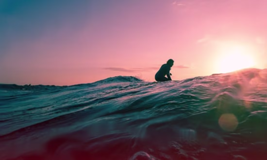 Cover image for PPAs: The consequences of the open market era.