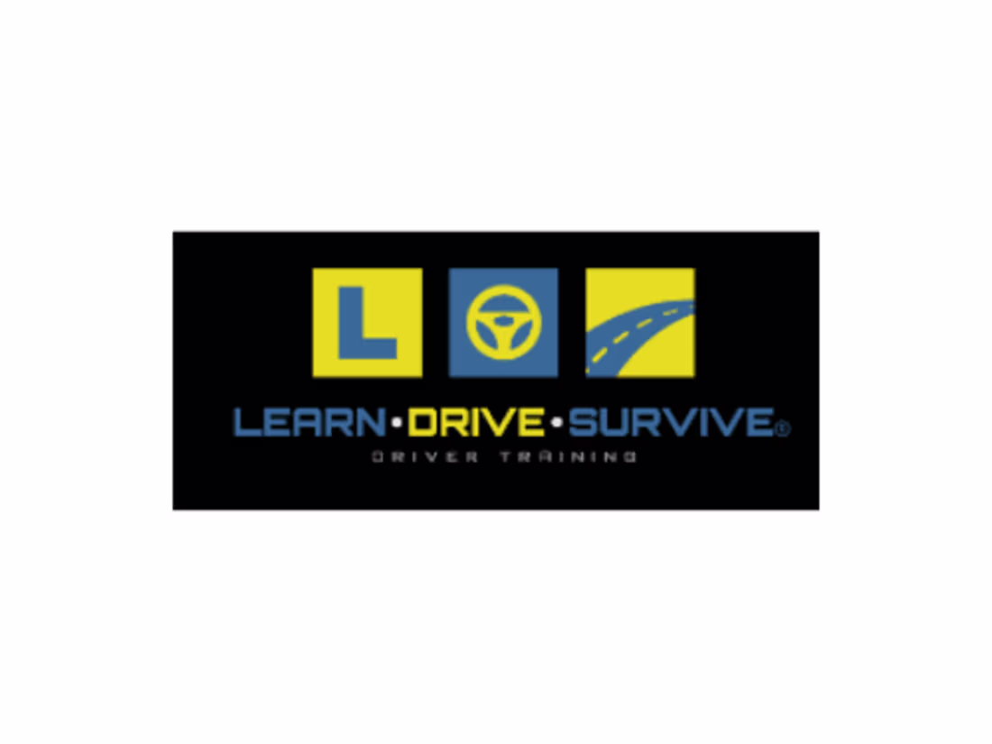 Cover image for Learn Drive Survive® Driving School