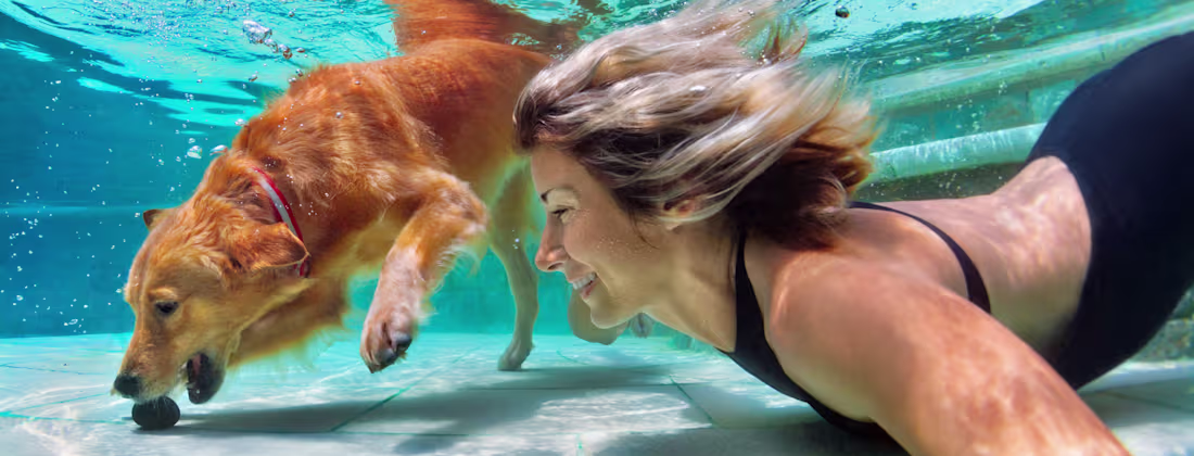 Cover image for Webinar series decks