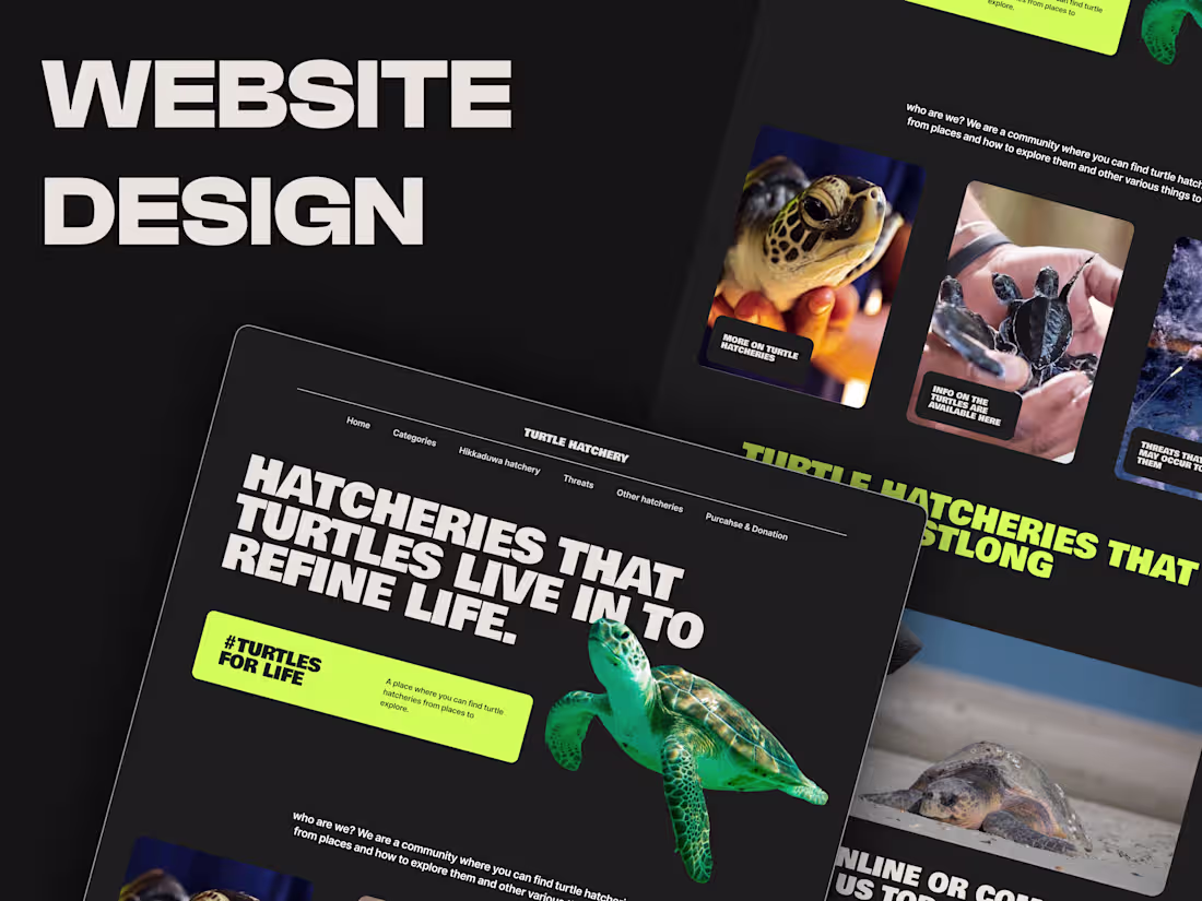 Cover image for Website Design