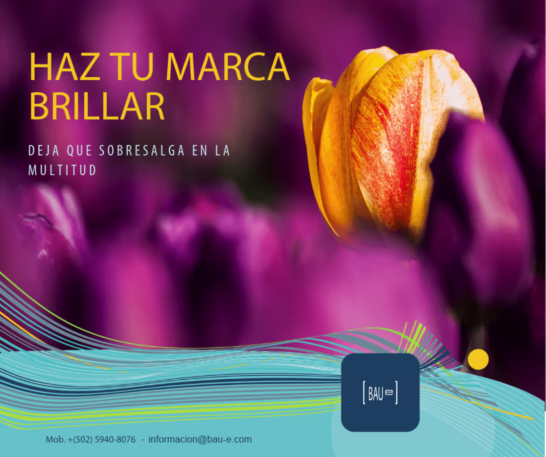 Cover image for BAUe