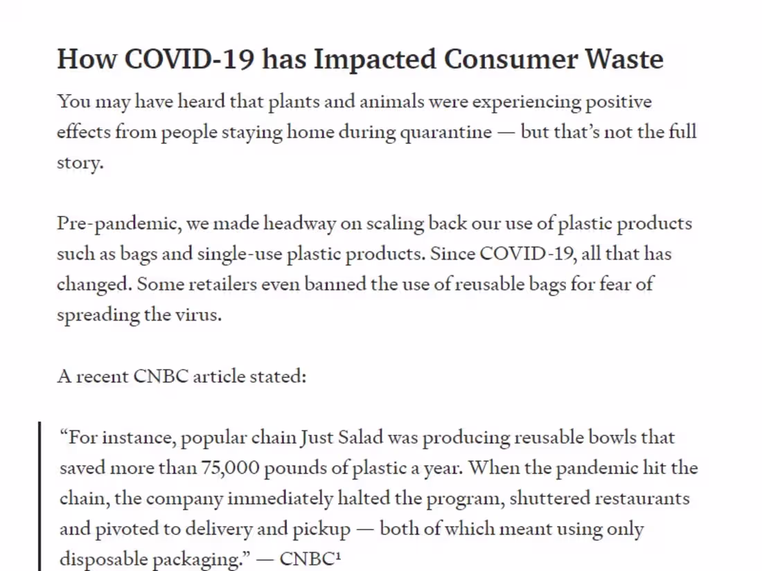 Cover image for Sustainability Blog Post