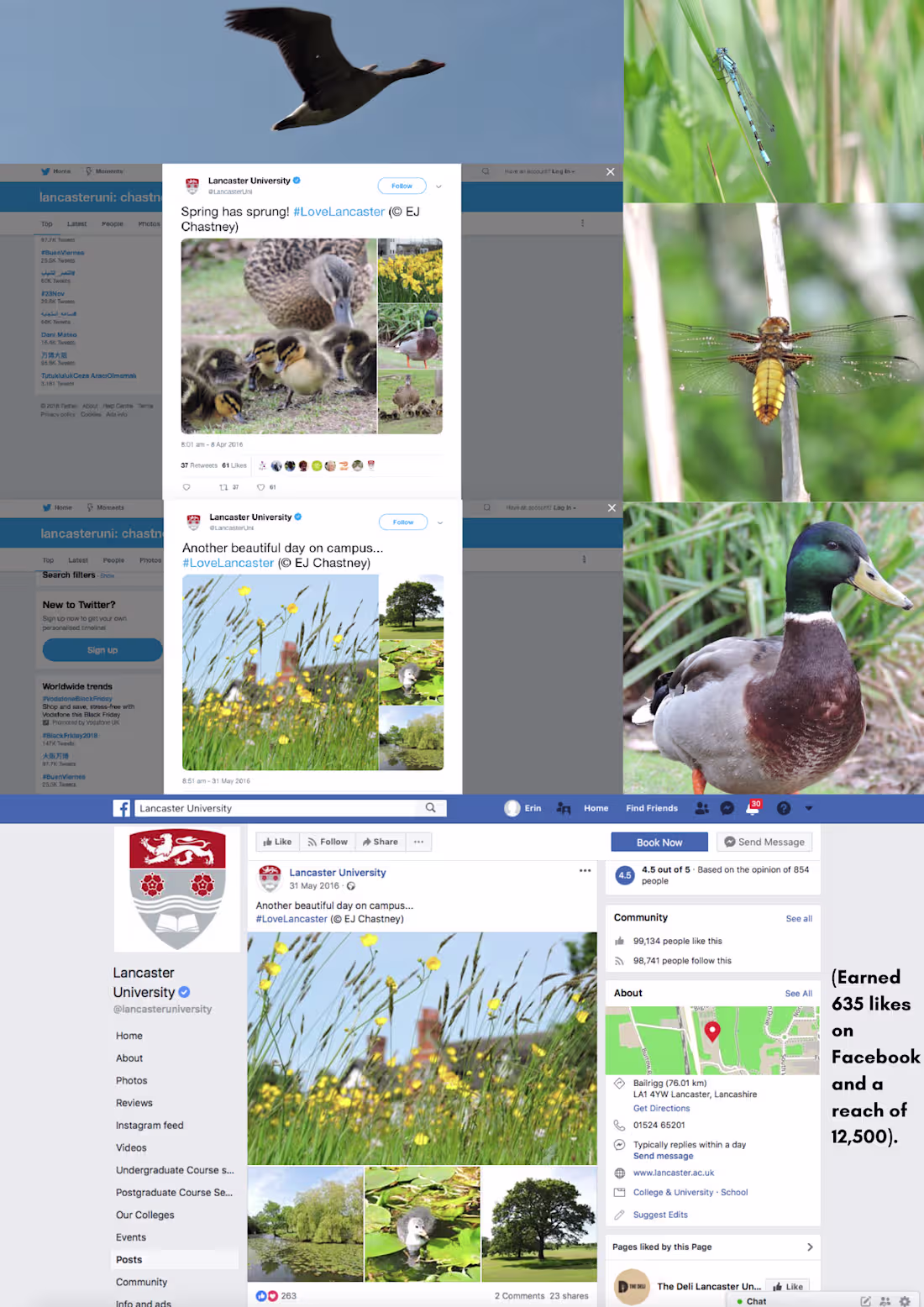 Cover image for Photography work for Lancaster University