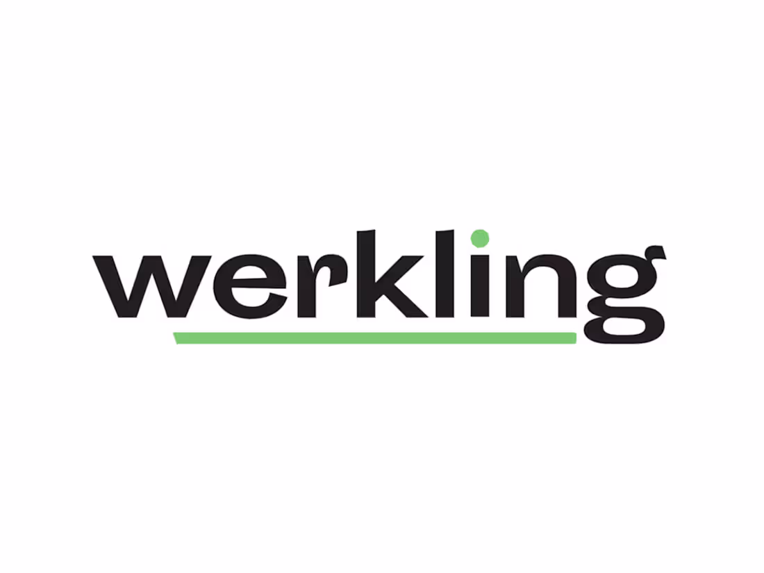 Cover image for Werkling