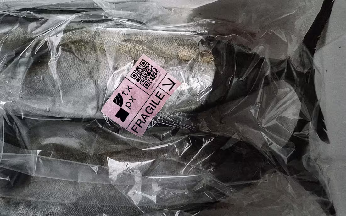 Cover image for TxPx