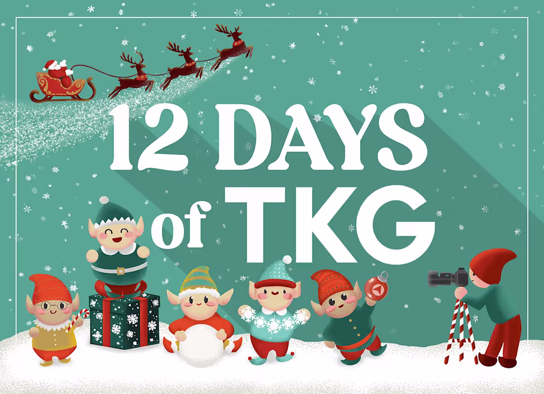 Cover image for 12 Days of Christmas Marketing Promotion