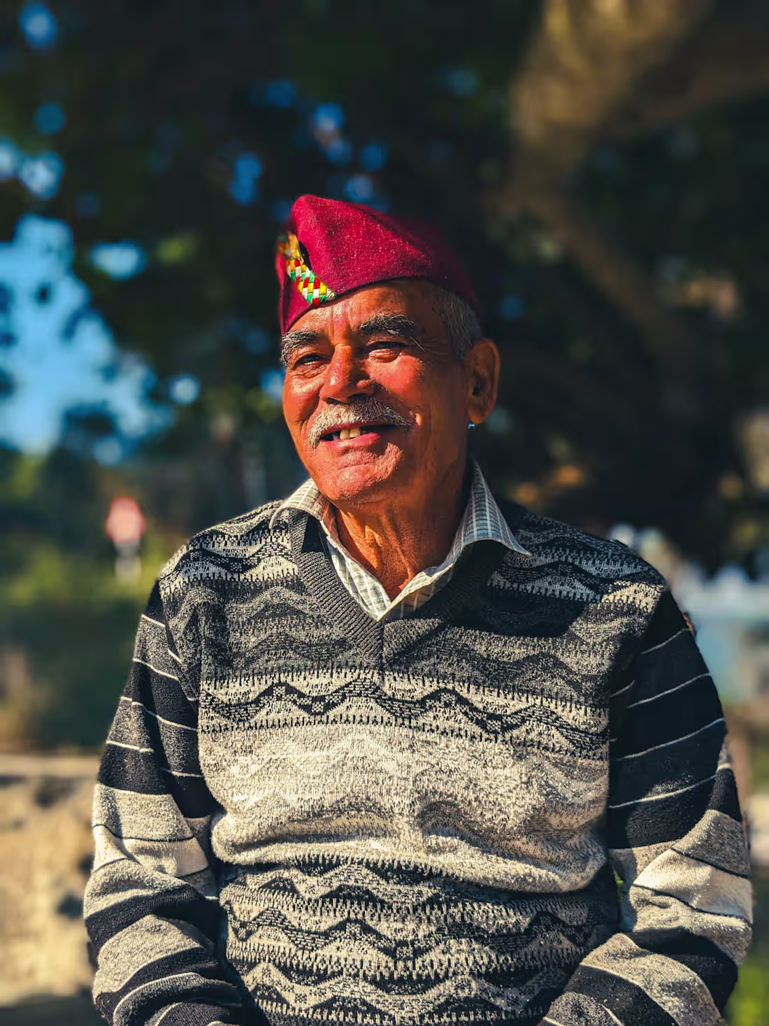 Cover image for Stranger Smiles