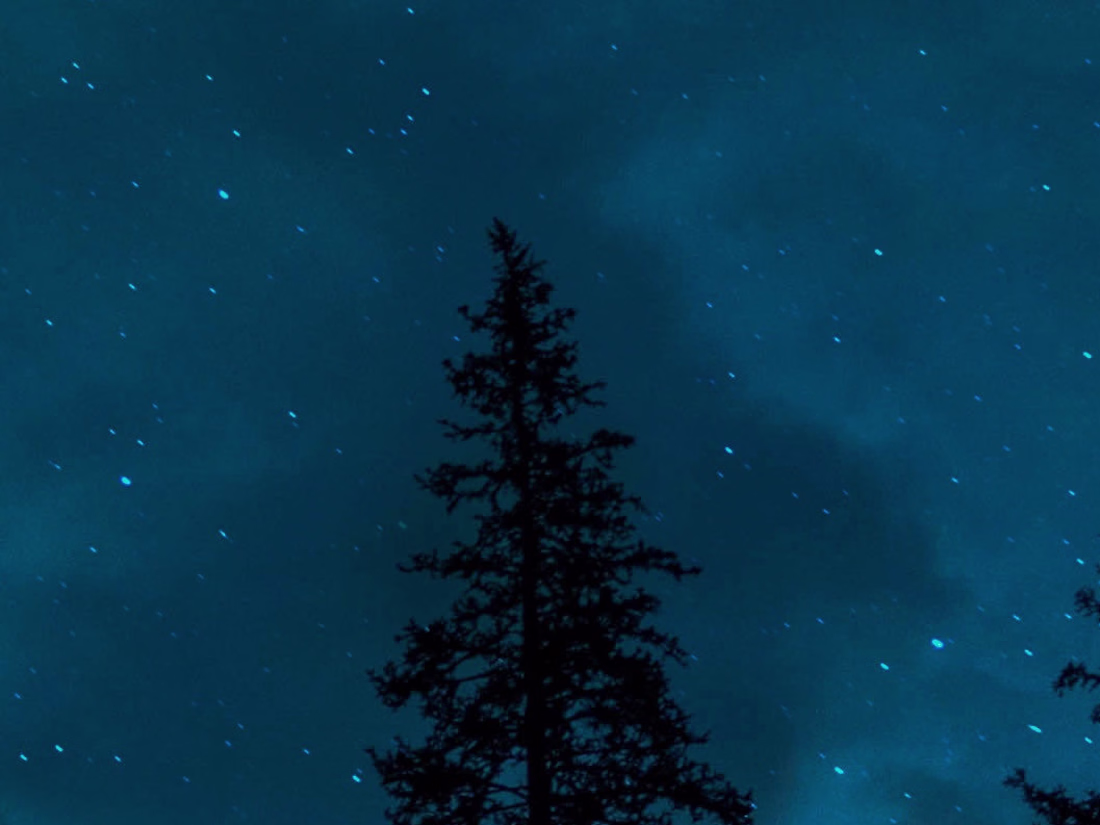 Cover image for AI Recommendation Engine