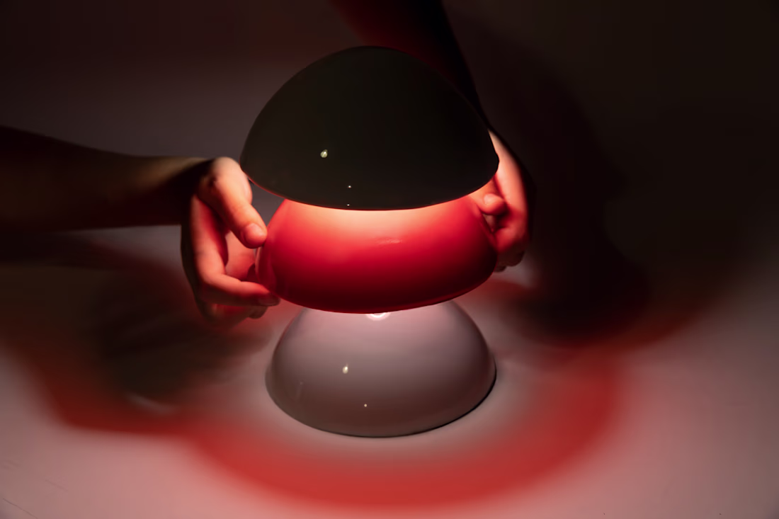 Cover image for Forget Me Not.