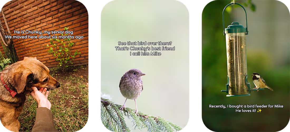 Cover image for Short Stories for Social Media (Image/Video)