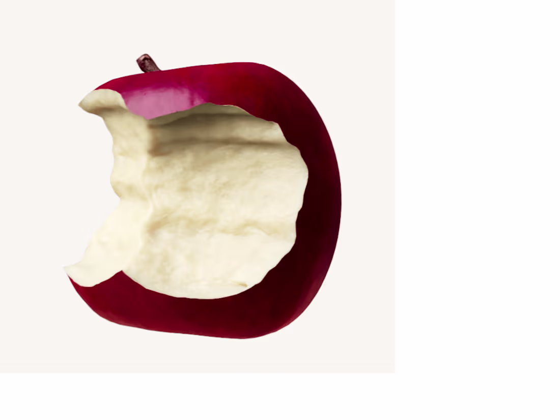 Cover image for  Brightmark