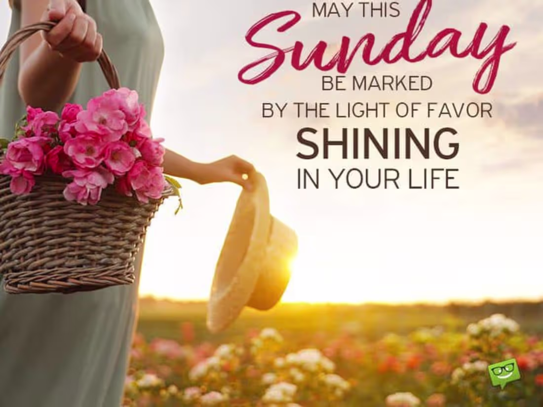 Cover image for Graphics design project 