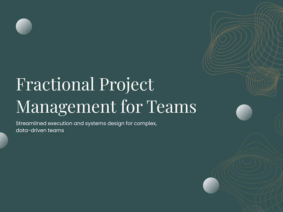 Cover image for Fractional Project Management