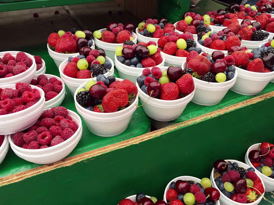 Cover image for Plant-based Eating 101: A Beginner's Guide