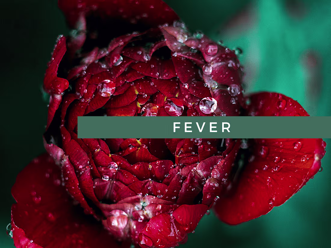 Cover image for Fever