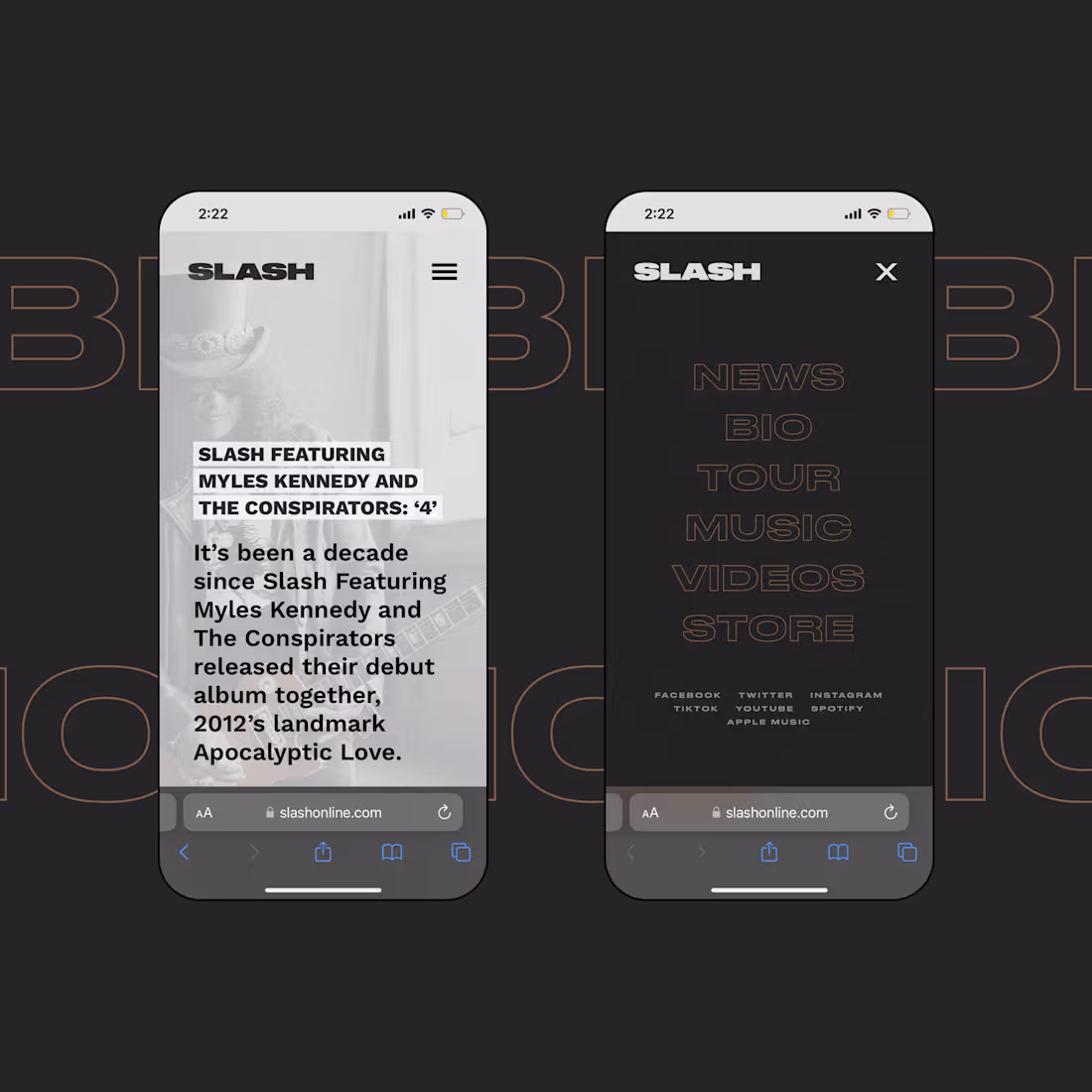 Cover image for Slash (Gibson Records) | Website Development