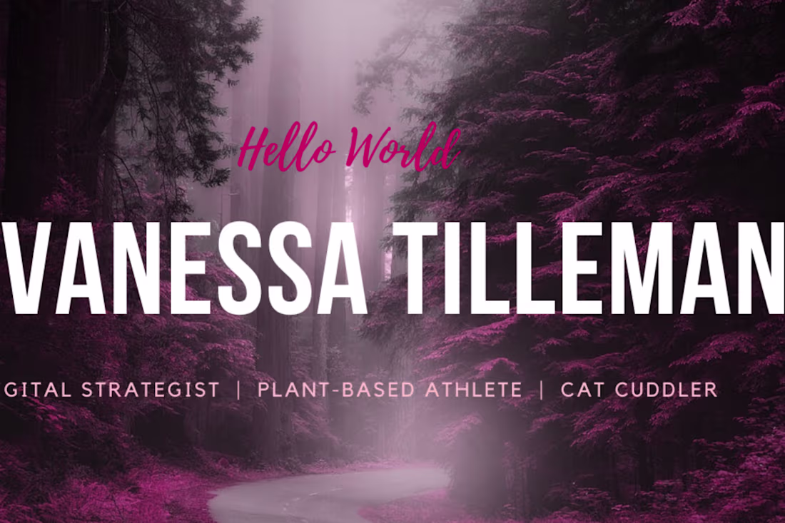 Cover image for Portfolio