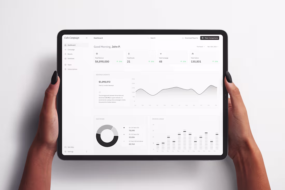 Cover image for Cube Campaign