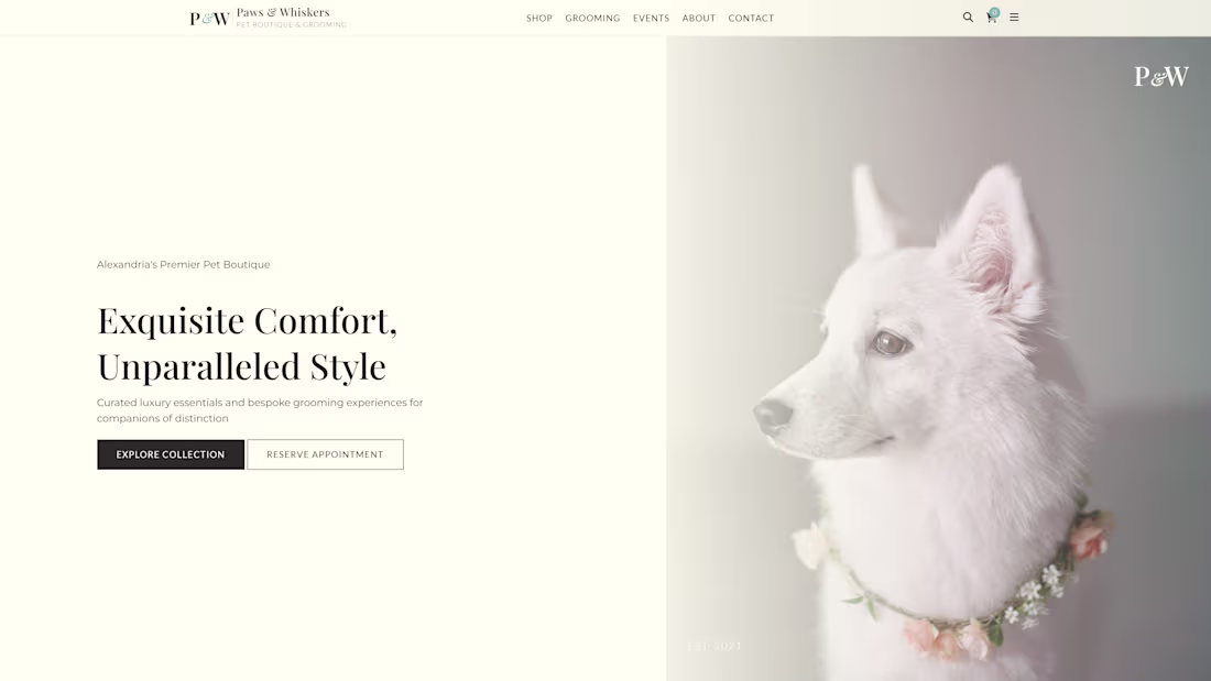 Cover image for Luxury Pet Boutique Website Concept