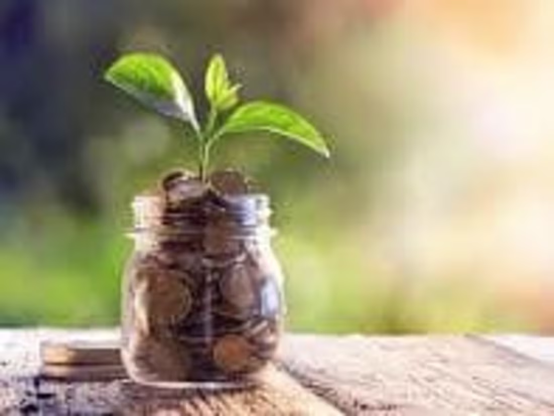 Cover image for Revenue Services