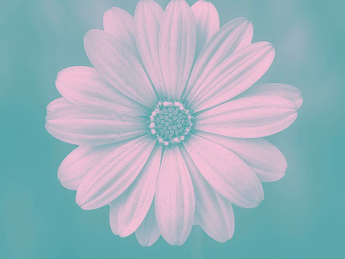 Cover image for STEP-BY-STEP WALK WITH GOD THE EVERLASTING ANCHOR