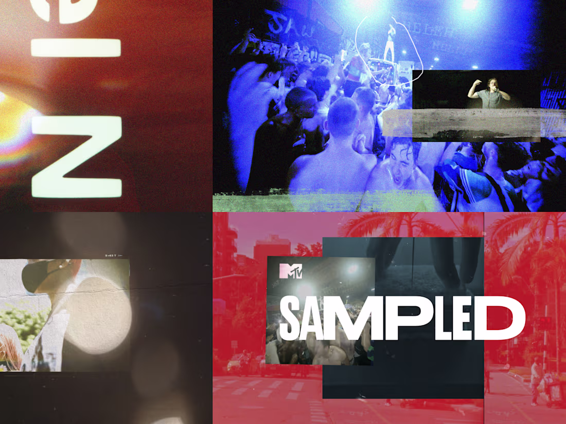 Cover image for MTV Sampled