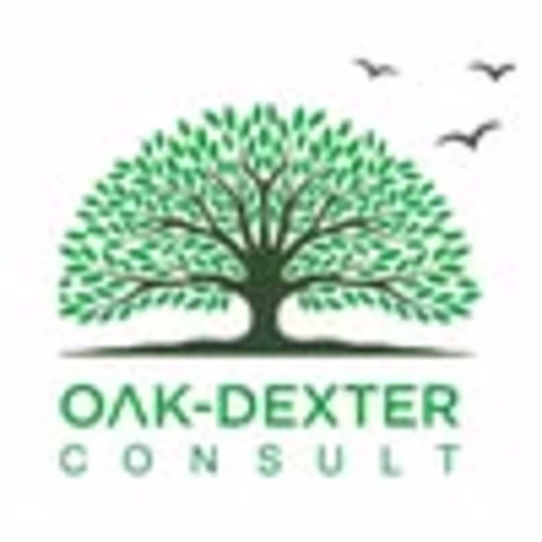 Cover image for Oak-Dexter Consult (@oakdexterconsult) • Instagram photos and v…