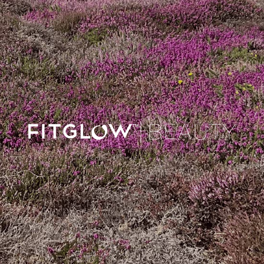 Cover image for Social Media Design + Management