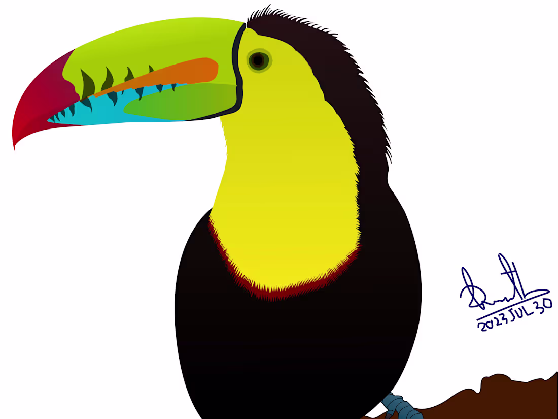 Cover image for Keel-billed Toucan