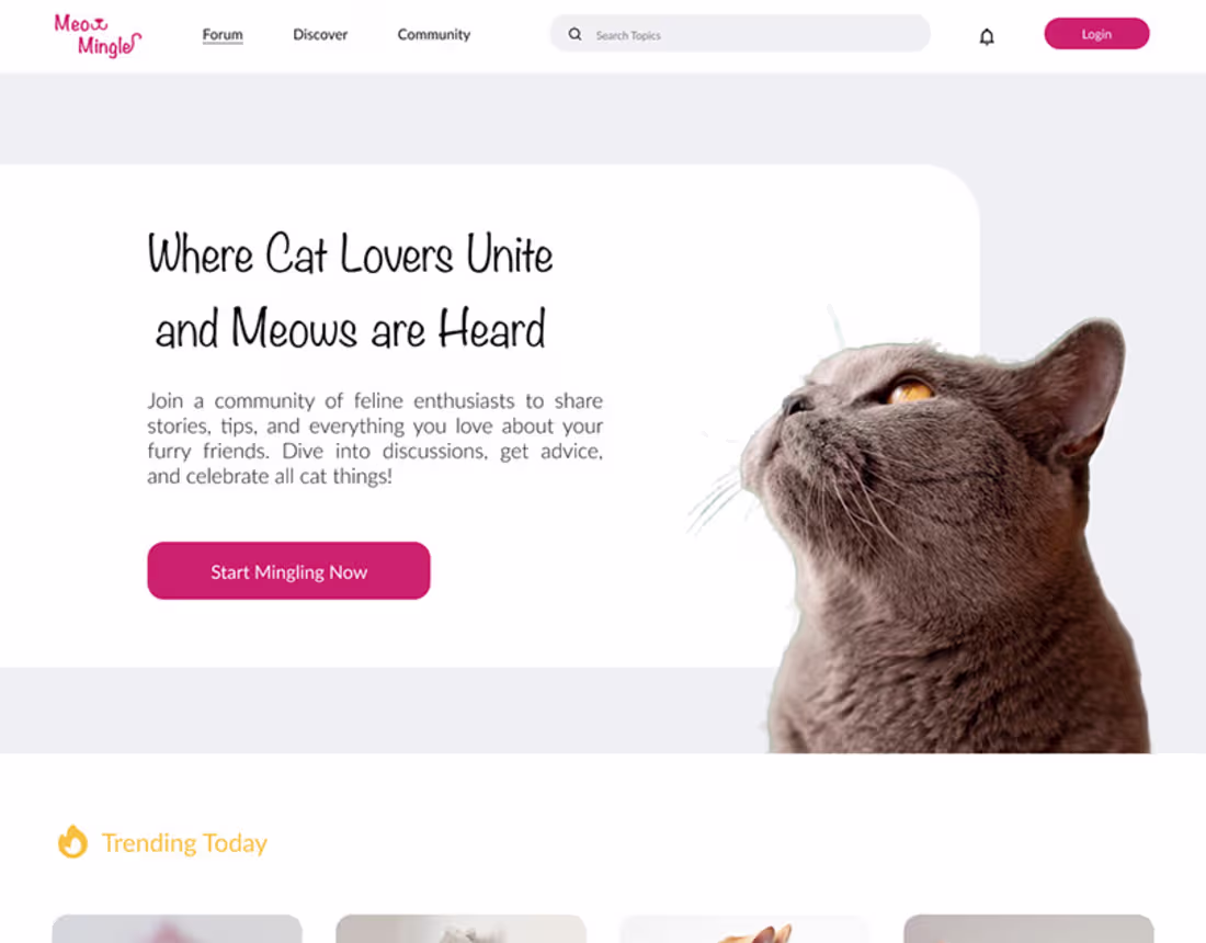 Cover image for Forum Website Design :: Behance