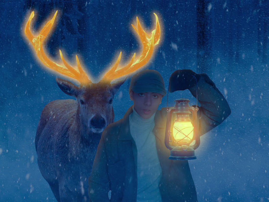 Cover image for Lost In Christmas 